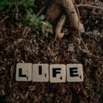 life control
